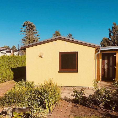 Little Rose Villa Zingst Exterior foto