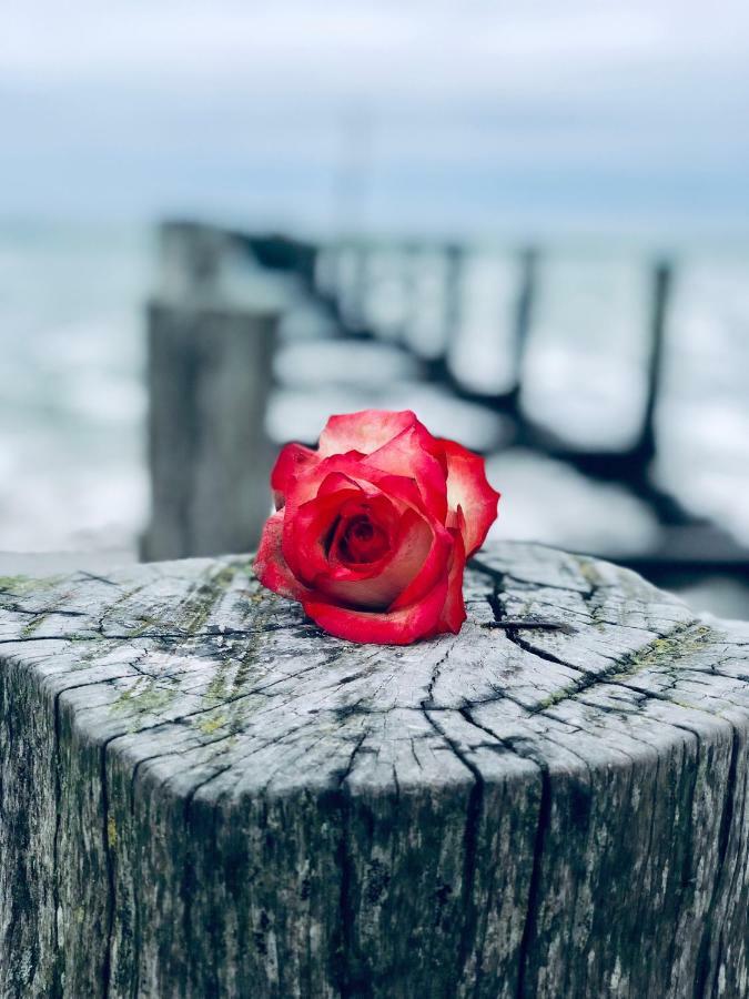 Little Rose Villa Zingst Exterior foto