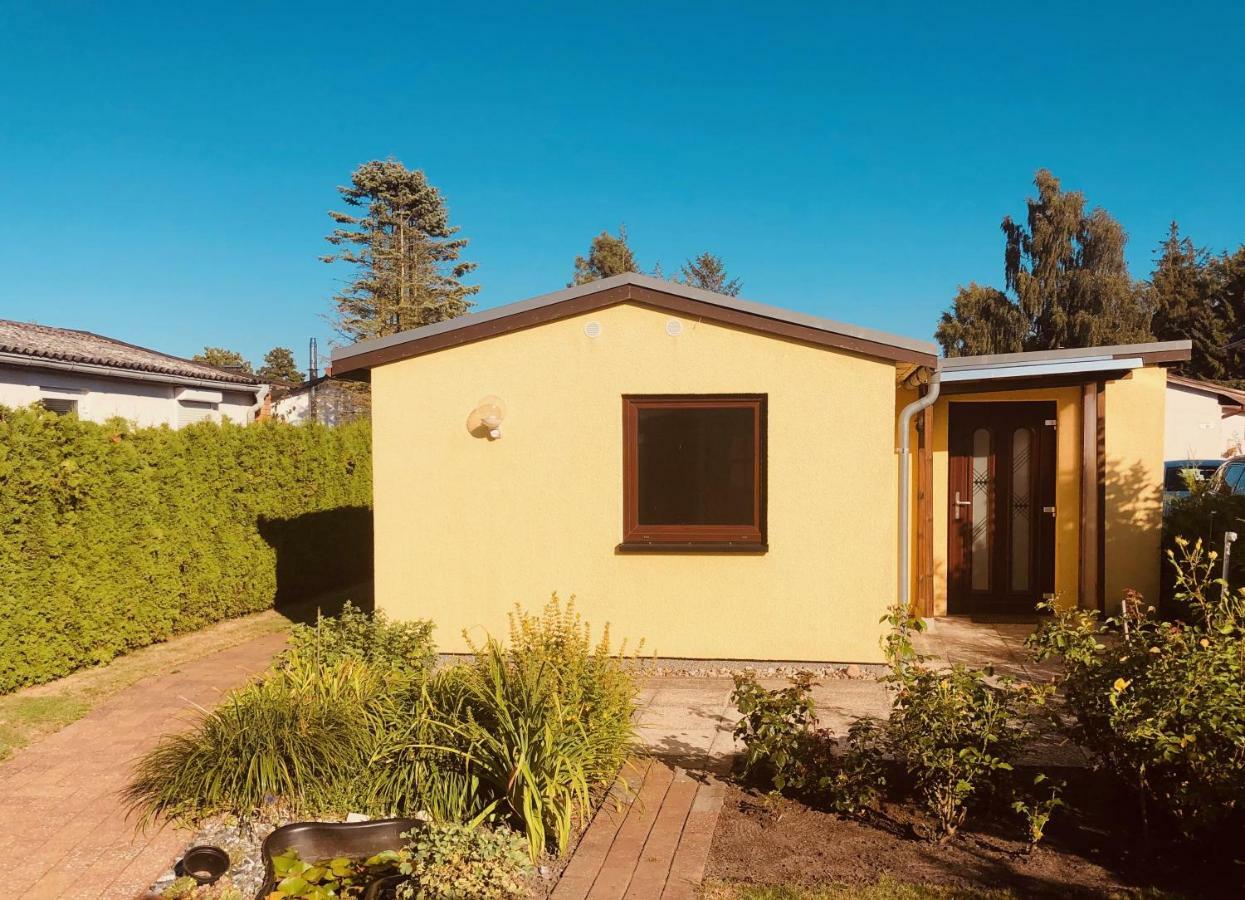 Little Rose Villa Zingst Exterior foto